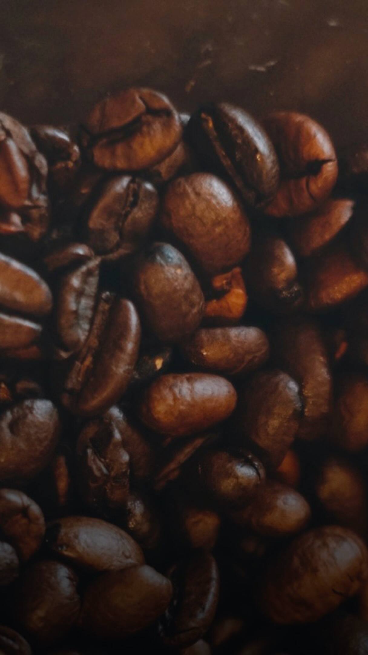 Should roasted coffee beans be oily - Coffee Lounge