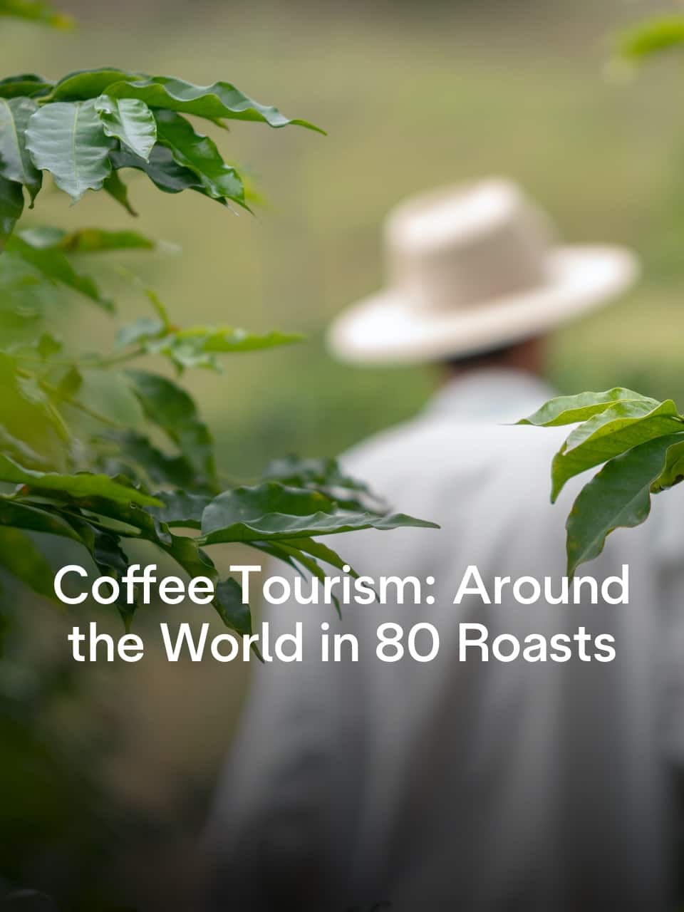 Around the World in 80 Roasts - Coffee Lounge