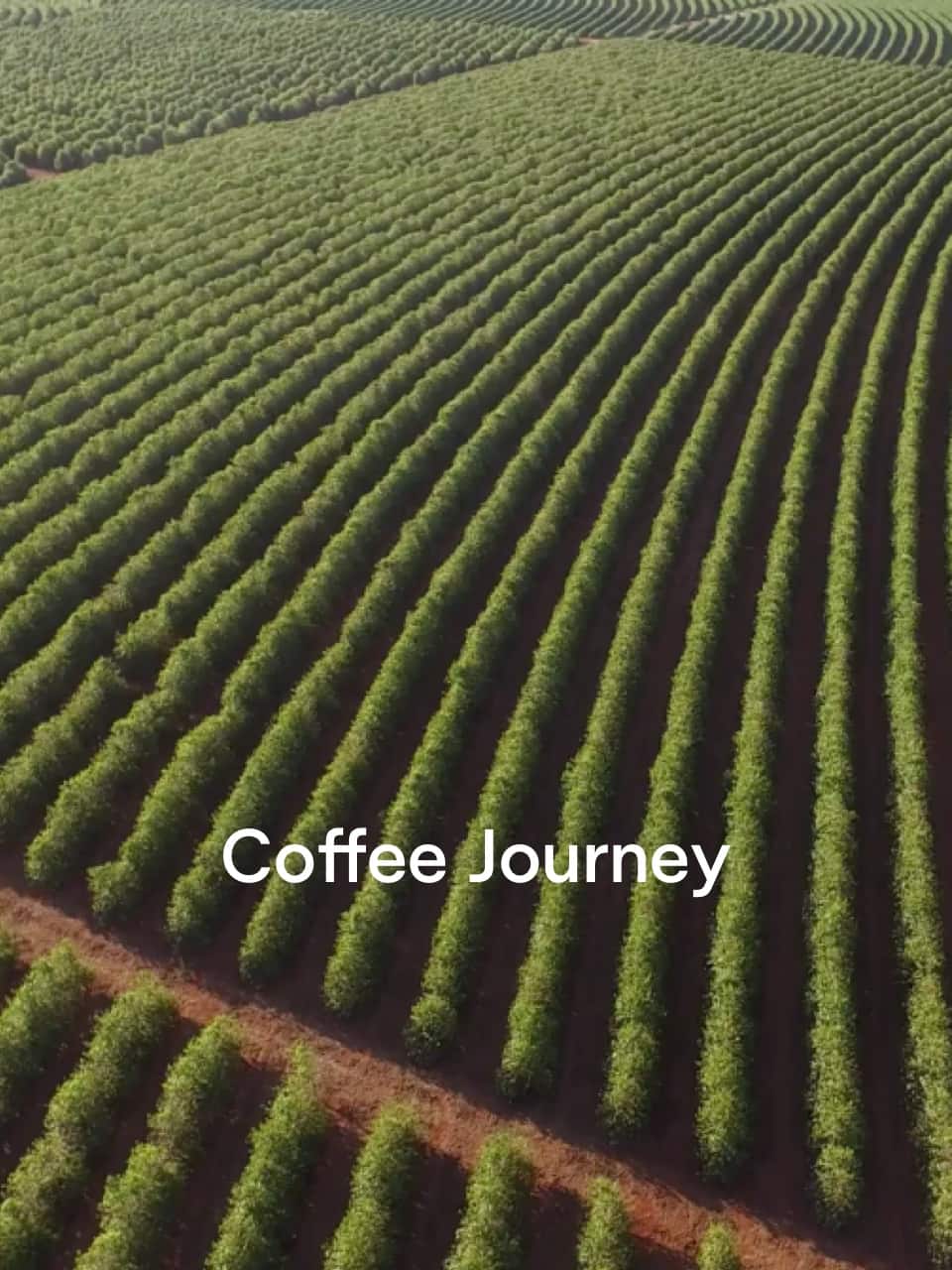 Coffee journey - Coffee Lounge