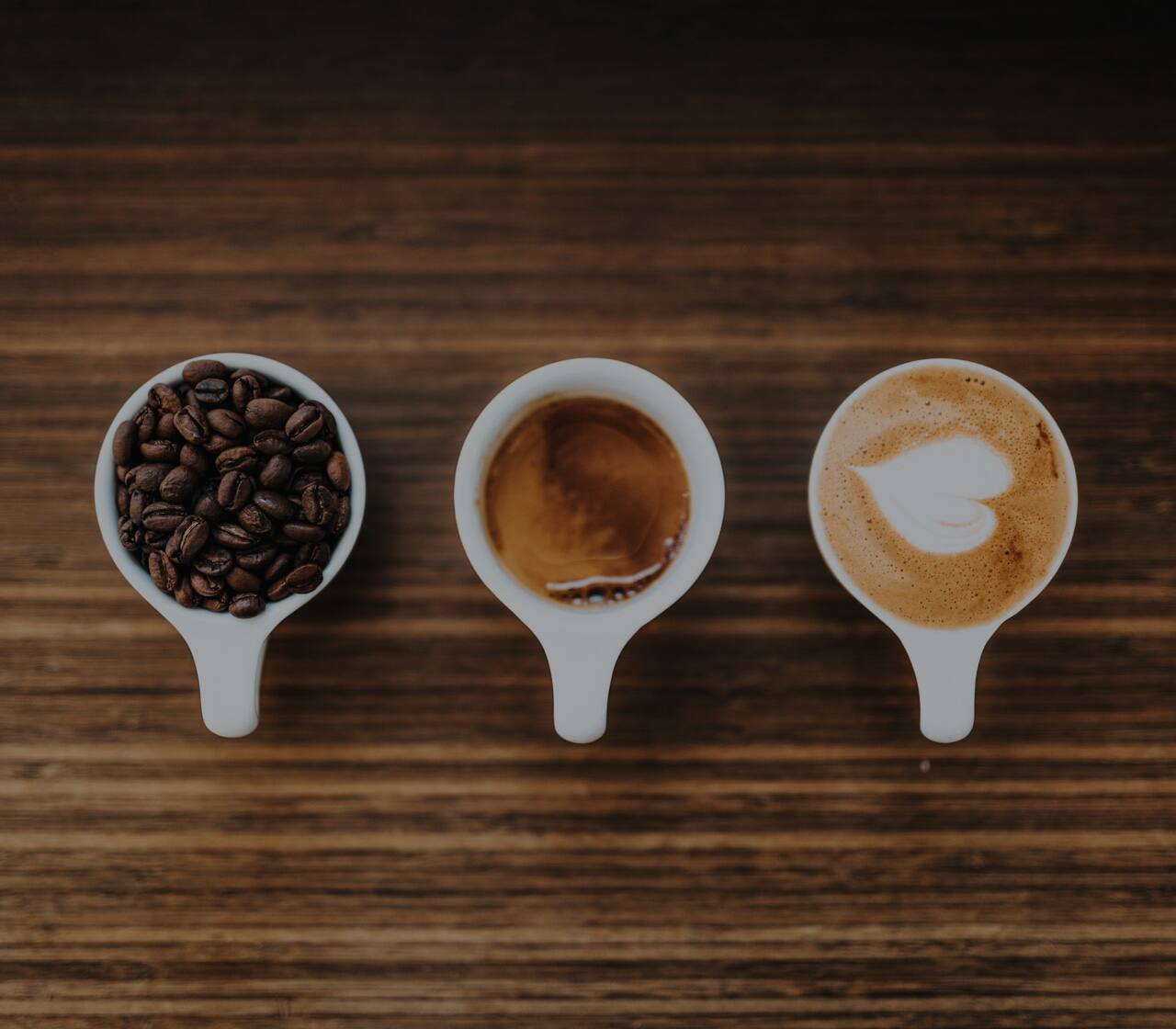 Learn Coffee Basics - Coffee Lounge