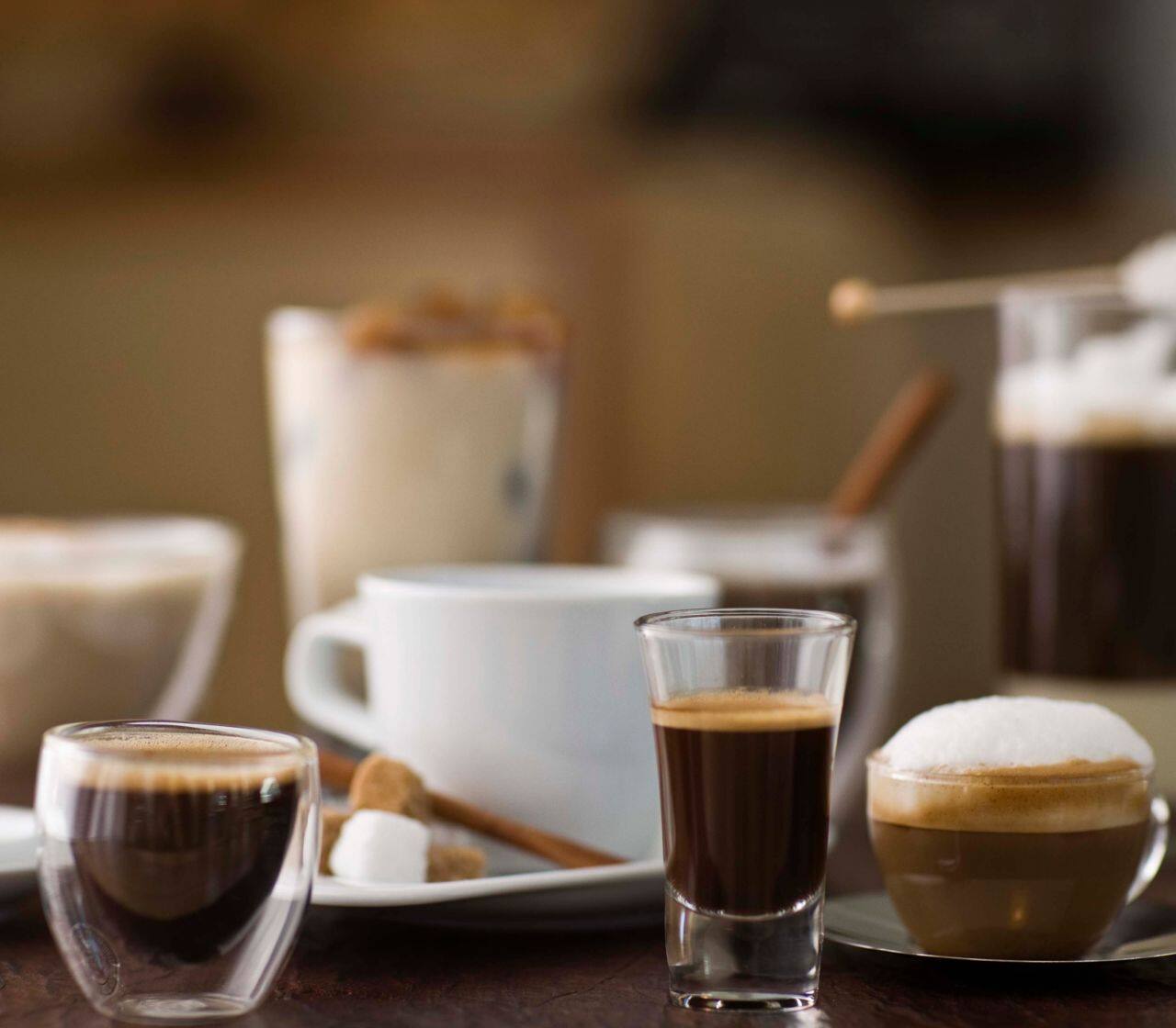 Poznaj podstawy na temat kawy - Coffee Lounge